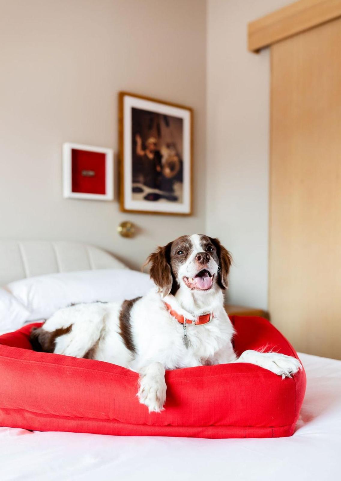 Virgin Hotels, Chicago
